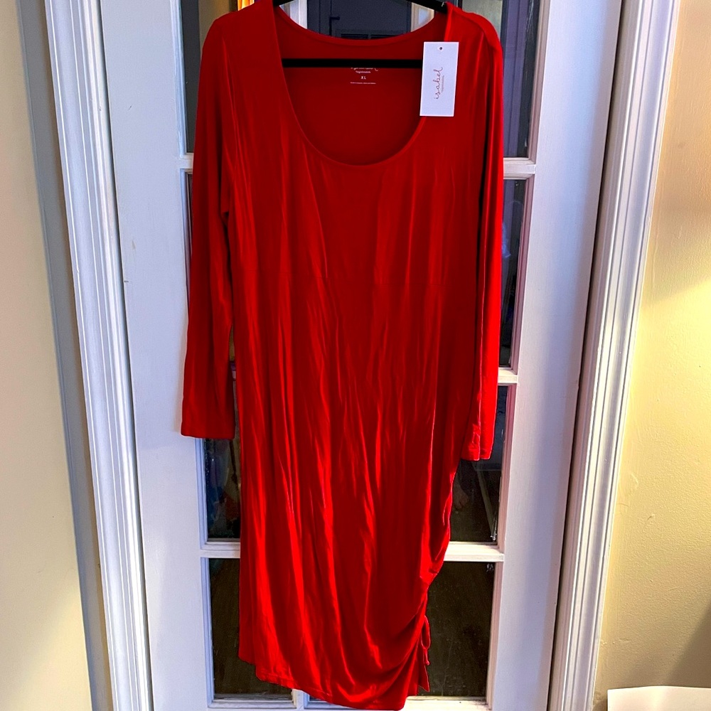 Isabel Maternity Burnt Orange Dress